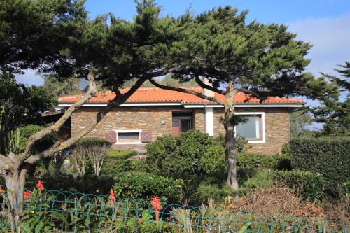 a house with a tree in front of it at B&B Sa Serra in Stintino