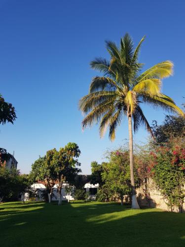 Quinta Sampedro – Photos 4
