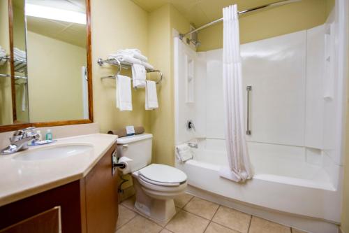 La salle de bains est pourvue de toilettes, d'un lavabo et d'une douche. dans l'établissement Quality Inn South Colorado Springs, à Colorado Springs