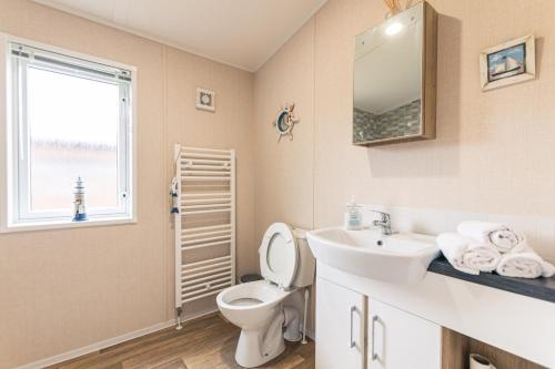 a bathroom with a toilet and a sink and a mirror at Primrose Lodge with Hot Tub in York