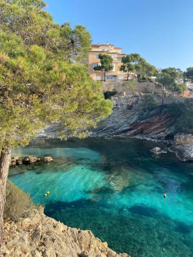 a river with blue water and trees on a cliff at Hostal Villa Senese in Paguera