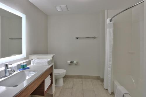 een badkamer met een wastafel, een toilet en een douche bij Holiday Inn Express & Suites - Houston East - Beltway 8, an IHG Hotel in Cloverleaf