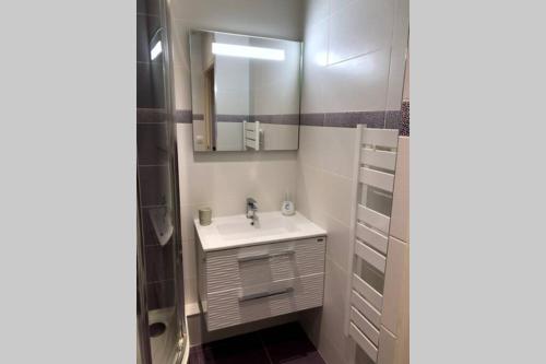 une salle de bain avec un lavabo et un miroir dans l'établissement Le petit navire - accès direct plage, à Cabourg