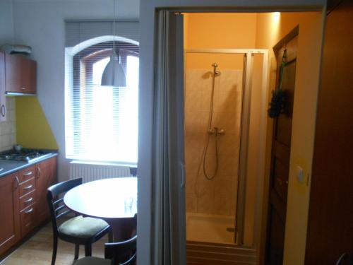 Koupelna v ubytování Apartmán Pod Hradem