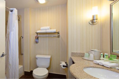 uma casa de banho com um WC e um lavatório em Holiday Inn Express & Suites Midland Loop 250, an IHG Hotel em Midland