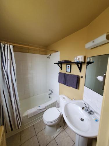 a bathroom with a toilet and a sink and a tub at Bio Vista Motel in Wainwright