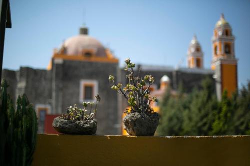 two potted plants sitting on top of a wall at Majikal B&B - Barro Negro in Cholula
