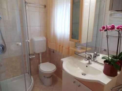 a bathroom with a toilet and a shower and a sink at Apartments in Fazana/Istrien 8456 in Fažana