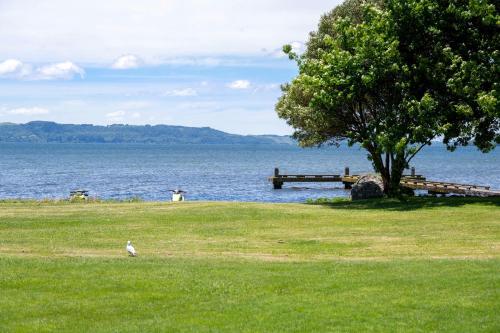 Fotografie z fotogalerie ubytování Gemini Shores - Rotorua Holiday Home v destinaci Koutu
