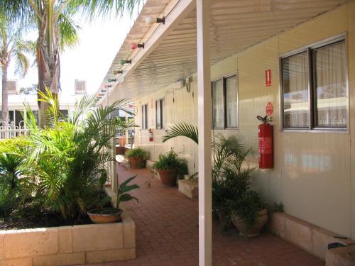 an outside view of a building with palm trees and plants at THE MEYERS HOUSE - ACCOMMODATION in Kalgoorlie