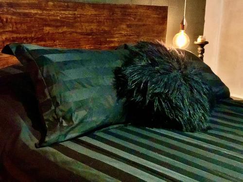 a bed with a green pillow and a green blanket at Zyan Rooms in Villahermosa