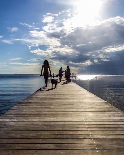 a group of people walking their dogs on a pier at Little Harbor Resort #116 Tampa Bay Florida Beach Bayview in Ruskin