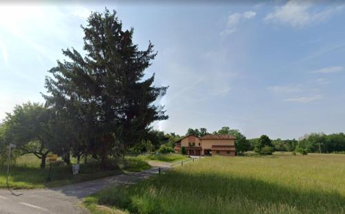 uma casa num campo com uma árvore e uma estrada em Cascina in Alto Piemonte / Piedmont countryhouse em Lozzolo