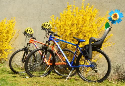 Jazda na bicykli v okolí ubytovania Bed & Tours Dimora di campagna