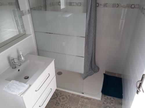 La salle de bains blanche est pourvue d'une douche et d'un lavabo. dans l'établissement Gîte de La Ribotière à 15 min du Puy du Fou, à Pouzauges