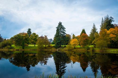 a view of a pond with trees in autumn colours at The Gleneagles Hotel in Auchterarder