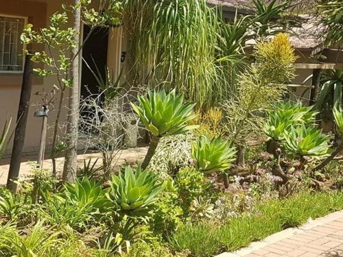 a garden with green plants in front of a house at Country Blue Luxury Guest House in Polokwane