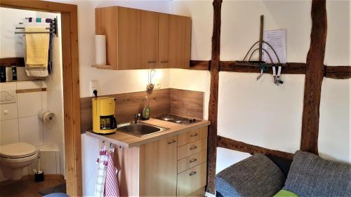 eine kleine Küche mit einem Waschbecken und einem WC in der Unterkunft Kaline 3 in Sandberg