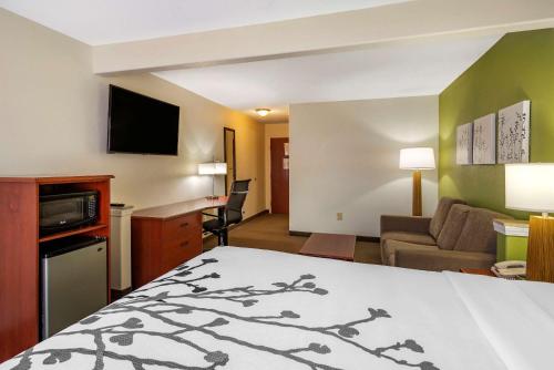 TV a/nebo společenská místnost v ubytování Sleep Inn & Suites Stockbridge Atlanta South