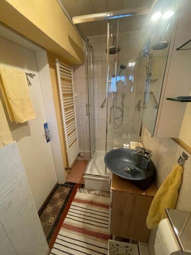 a bathroom with a sink and a shower at Ferienwohnung Maria Martin in Alzenau in Unterfranken