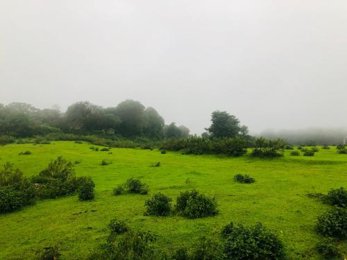 ヴィラの近くで見られる自然の景観