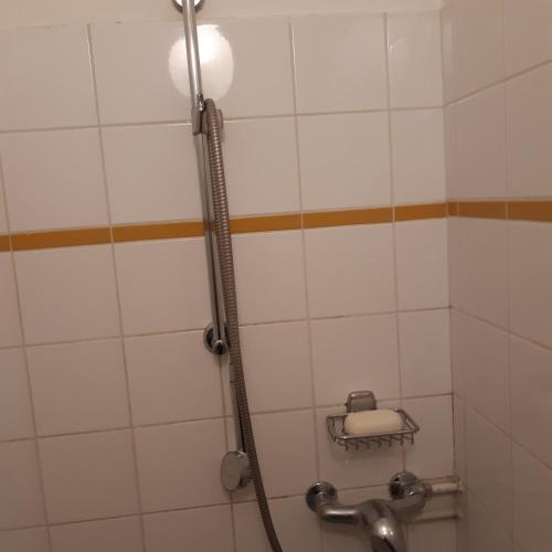 une douche dans une salle de bain avec une pomme de douche dans l'établissement BELLEVUE, à Quetigny