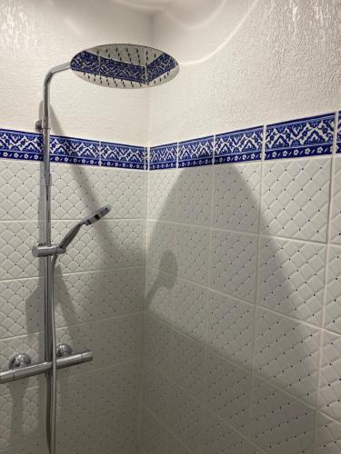 a shower in a bathroom with blue and white tiles at La Bergerie des Oliviers in Méounes-lès-Montrieux