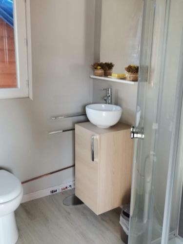 une salle de bain avec un lavabo et des toilettes dans l'établissement Chalet du bien-être, à Hornaing
