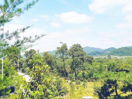 a field with trees and mountains in the background at Durian Ecolodge in Tampin