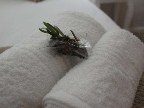 a plant sitting on top of a white towel at Quaggasfontein Gastehuis in Beaufort West