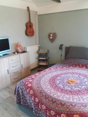 a bedroom with a bed and a guitar on the wall at Gastenverblijf 't Achterhoes in Bellingwolde