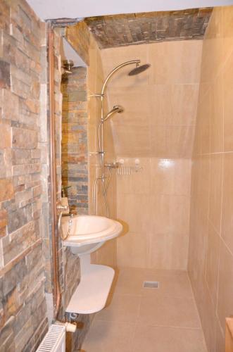 une salle de bain avec un lavabo et une douche dans l'établissement Maison de charme au cœur du Blanc, avec spa et jardin, à Le Blanc