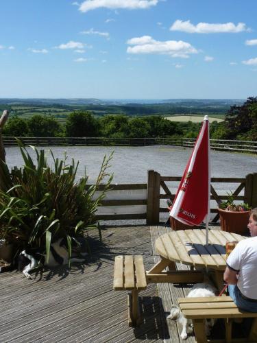 a man sitting at a table on a deck with a cat at The Moorland Hotel in Wotter