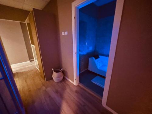 a cat sitting in the corner of a room at Palazzo Otello 1847 Wellness & Spa in Vicenza