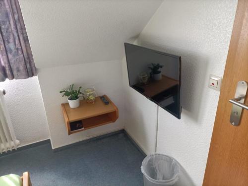 a small room with a television and a table with potted plants at Hotel-Restaurant Babylon in Dierdorf
