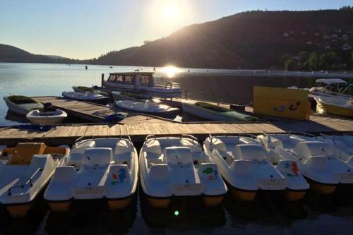 a group of boats are docked at a dock at Appartement spacieux Gérardmer 90 m² in Gérardmer