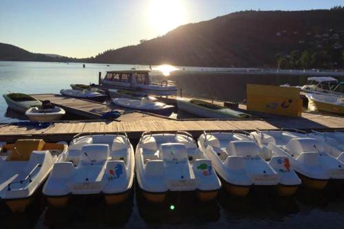 a group of boats are docked at a dock at Appartement spacieux Gérardmer 90 m² in Gérardmer