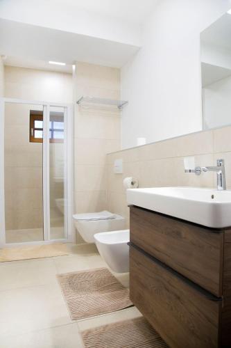 a bathroom with a sink and a toilet at GLASHÜTTE Kisújbánya Vadászház in Hosszúhétény