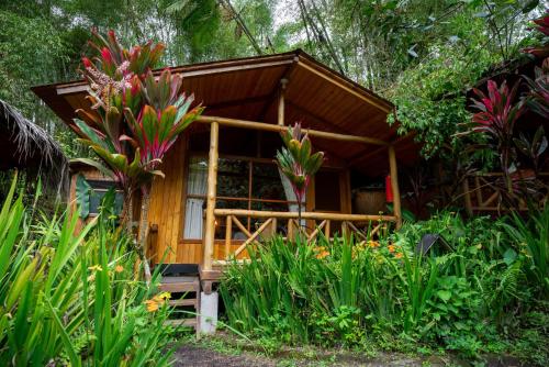 a small wooden house in the middle of a garden at Mindo Lago Hotel Destino in Mindo