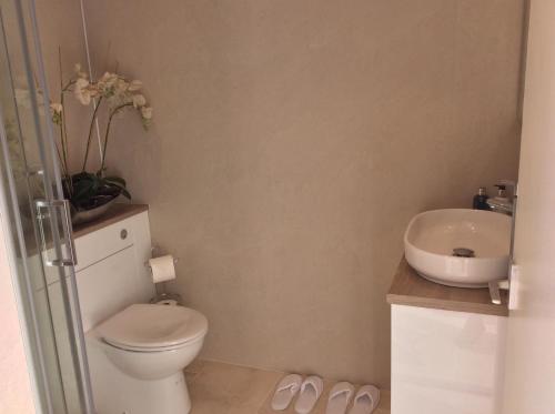 a bathroom with a toilet and a sink at Tigh Beag in Oban