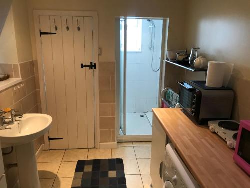 a small kitchen with a sink and a microwave at Flat with Seaview/Garden in Swansea