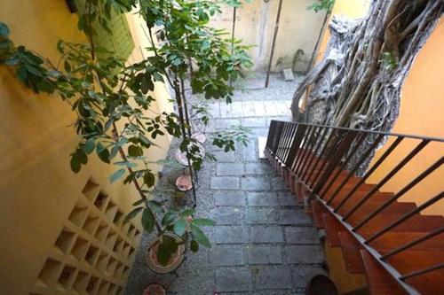 a staircase with potted plants on the side of a building at Spices Hotel in George Town