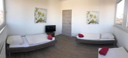 a living room with two beds and a tv at Pension Gästehaus Kautz in Karlsruhe