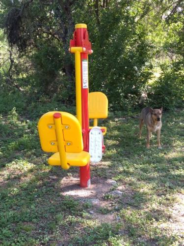 a dog standing next to a yellow and red object at Campo de los Zorros in Nono