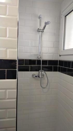 a shower in a bathroom with a glass door at Appartement plage in Sopelana