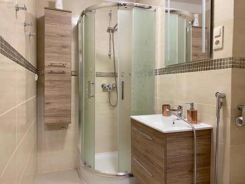 een badkamer met een douche en een wastafel bij Swish Apartment in Gdańsk