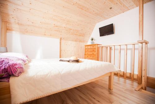 a bedroom with a bed and a television in it at Pensjonat Bogdanka in Trzęsacz