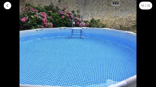 une piscine de carrelage bleu avec des fleurs en arrière-plan dans l'établissement Les deux magnolias, à Doulezon