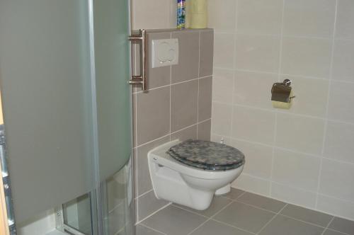 a bathroom with a toilet and a shower at Ferienwohnungen Simon - Hauserhof in Oberperfuss