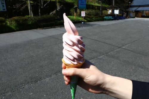 a person holding up a ice cream cone in their hand at Miyoshino Sakuraan in Yoshino